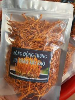 Bông đông trùng hạ thảo 100g date 2023