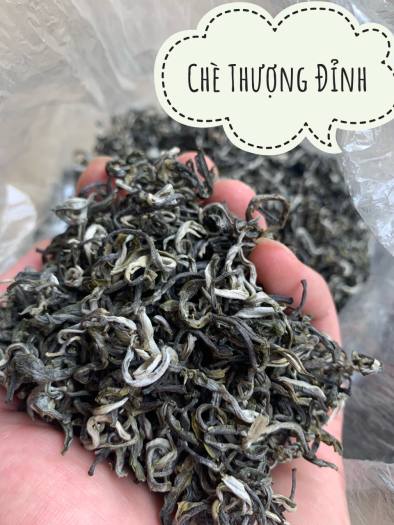 200Gram Chè Shan Tuyết Thương Đỉnh - Trà Shan Tuyết Cổ thụ Hà Giang