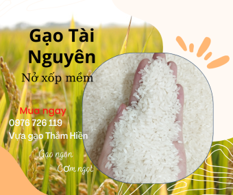 5KG Gạo Tài Nguyên - Gạo Nở Xốp Mềm - Bena Organic