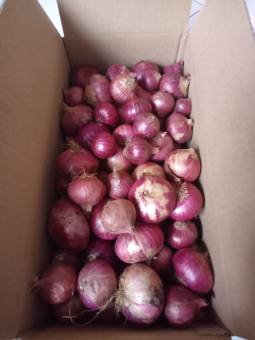 Hành tím khô Ấn Độ - Dori Thơm - 1kg, 500g - Hành tím củ to tròn khô