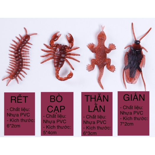 Đồ Chơi Con Gián Giả Thằn Lằn Rết Bọ cạp - 7k/3con - Chơi Cho Chó Mèo Chơi Khăm-May Pet
