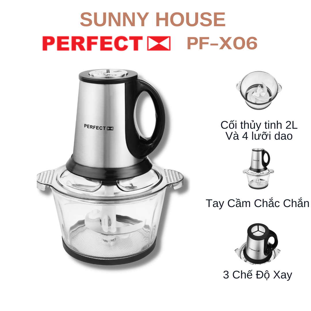 Máy xay thịt cầm tay đa năng PERFECT PF-X06 kết hợp 3 chế độ xay mềm xay cứng xay ăn dặm và đánh trứng có tay cầm chắc chắn