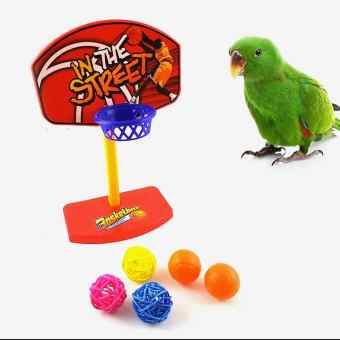 1 bộ đồ chơi bóng rổ huấn luyện cho vẹt, trẻ em