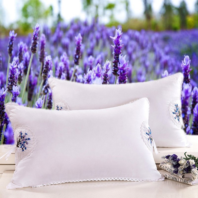 Ruột gối thơm lavender cao cấp, ruột gối hơi kháng khuẩn mềm mại kt45x65cm. titm119