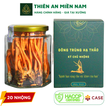 KÝ CHỦ NHỘNG ĐÔNG TRÙNG HẠ THẢO SẤY THĂNG HOA - HỘP 20 NHỘNG
