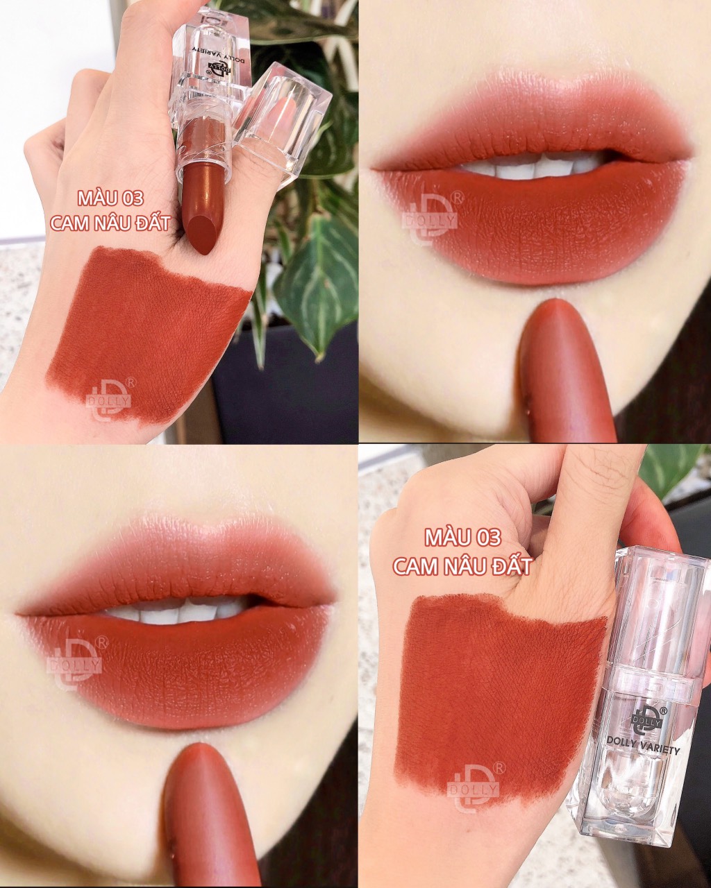 Son thỏi lì siêu mịn môi dolly variety
