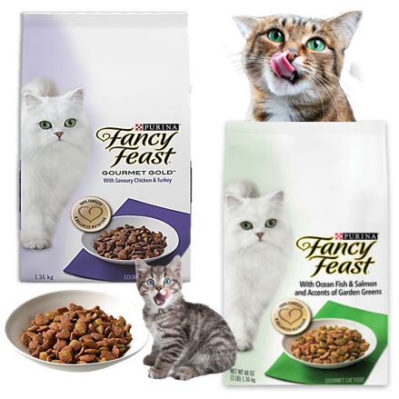 Fancy feast gourmet outlet gold dry cat food