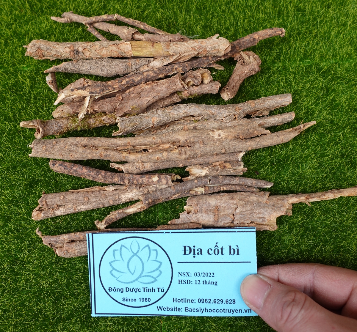 Địa cốt bì 100g, dược liệu loại 1, khô, sạch