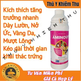 Chai 1000ml Aminovit, kích thích tăng trưởng nhanh, dày lườn, nở ức, vàng da, mượt lông, kéo dài thời gian khai thác trứng gia cầm - Khiêm Thu