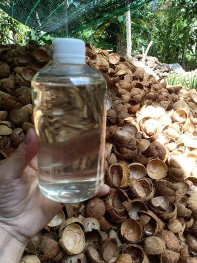 500ML TINH DẦU DỪA BẾN TRE NGUYÊN CHẤT ÉP LẠNH KHÔNG MÙI