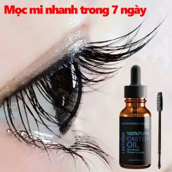 Serum mọc lông mi dung dịch dưỡng mi Mascara giúp lông mi dài và dày tinh chất dầu thầu dầu nuôi dưỡng lông mi dài hơn