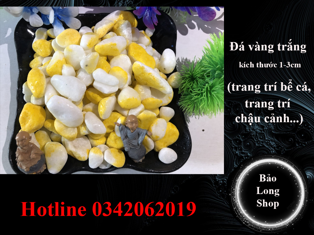 1kg đá vàng trắng trang trí chậu cây cảnh, trang trí sân vườn