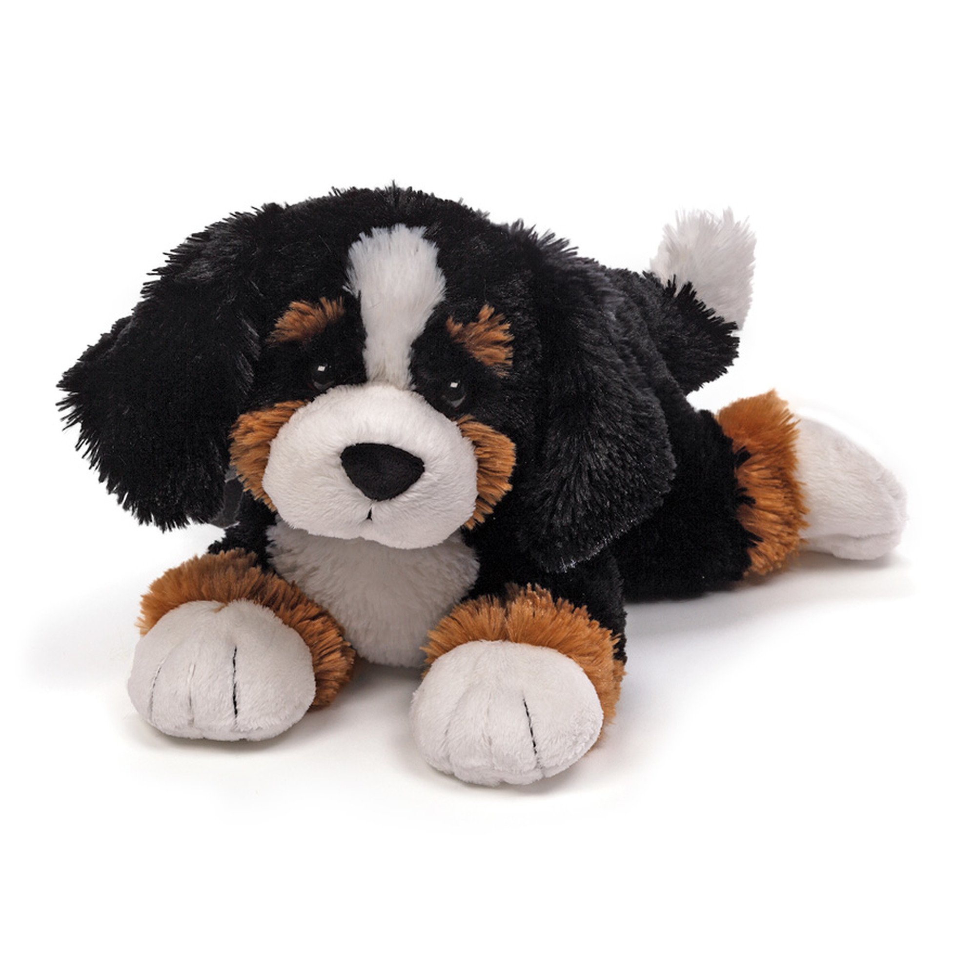 toy bernese mountain dog puppies