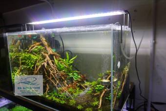 ĐÈN LED ODYSSEA A1 PRO PLANT 900