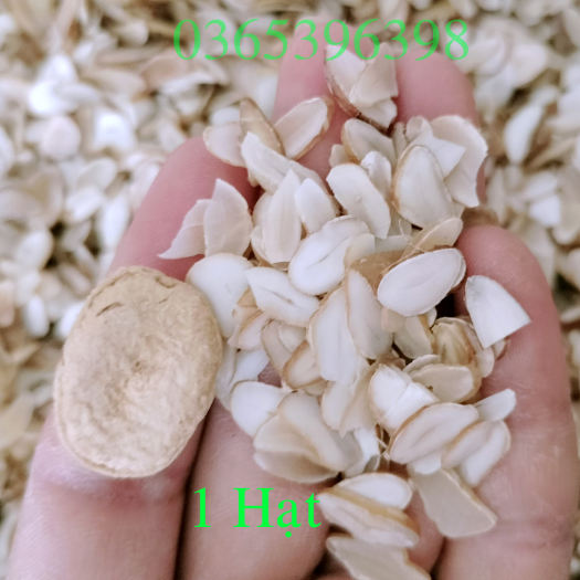 1 Hạt sành ( hạt sang ) trắng của người dân tộc , giải quyết đau dạ dày ( một hạt dùng thử)