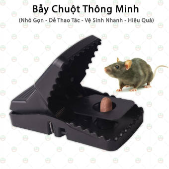 BẪY CHUỘT ĐEN THÔNG MINH - Dễ sử dụng, Hiệu quả Cao- Bẫy Chuột - Bắt Chuột