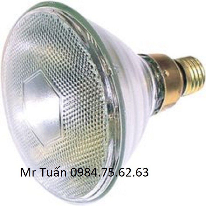Bóng đèn halogen Par38 120w, Citylight