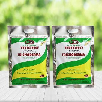 Vi sinh vật cải tạo đất Trichoderma ĐT (1kg/bịch)