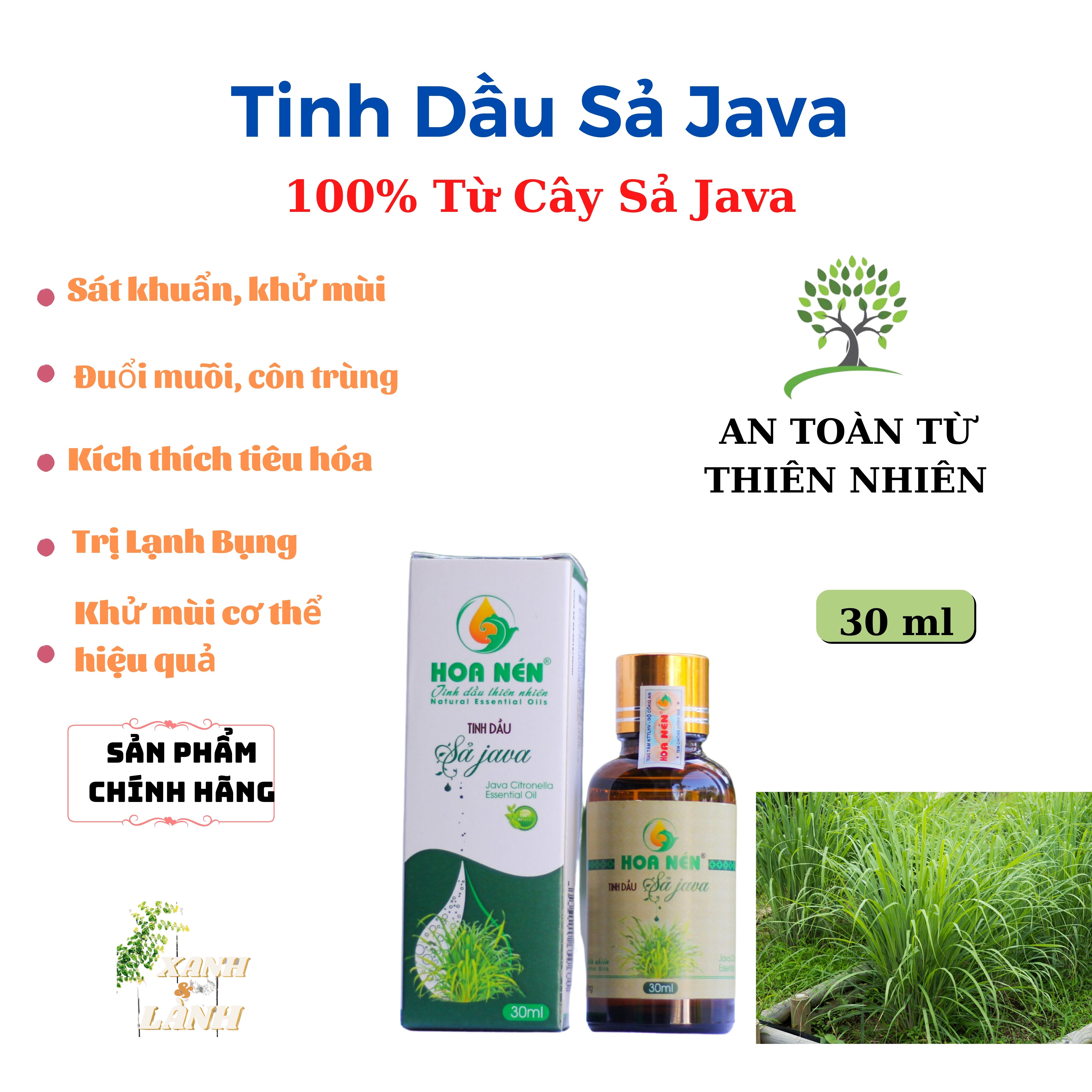 Tinh Dầu Sả Java HOA NÉN 30 ML Sát Khuẩn, KHử Mùi, Đuổi Muỗi, Côn Trùng, Kích Thích Tiêu Hóa, Khử Mùi Cơ Thể, Trị Lạnh Bụng, Giảm Stress
