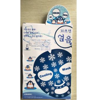 DKCC Ice Cooling Mask - For Four Seasons / Face Swelling Reduction Mask April 2018 - 2 DKCC Ice Cooling Mask - For Four Seasons / Face Swelling Reduction Mask - 2