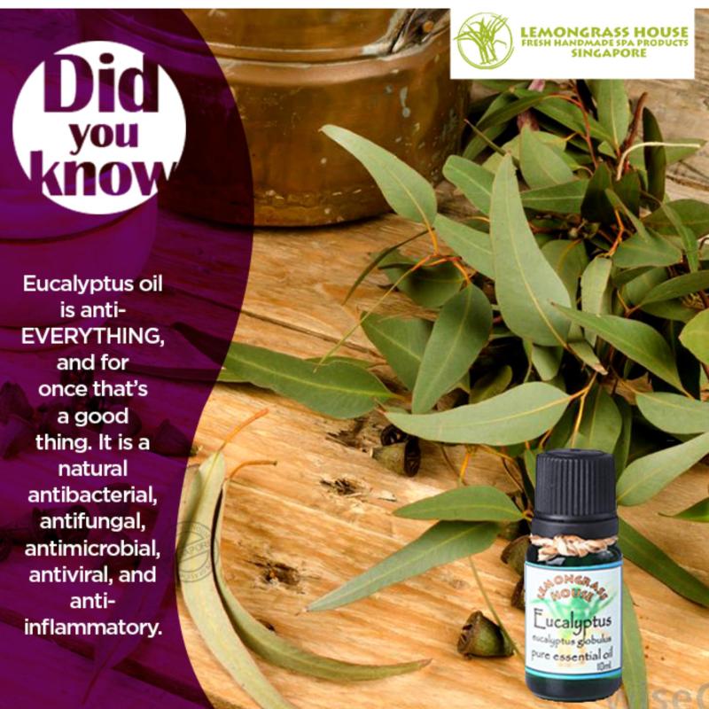 Buy Lemongrass House Eucalyptus Essential Oil 10ml Singapore