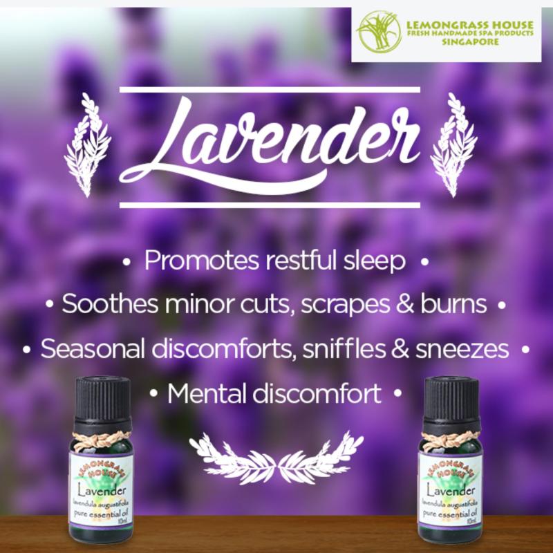 Buy Lemongrass House Lavender Essential Oil 10ml Singapore