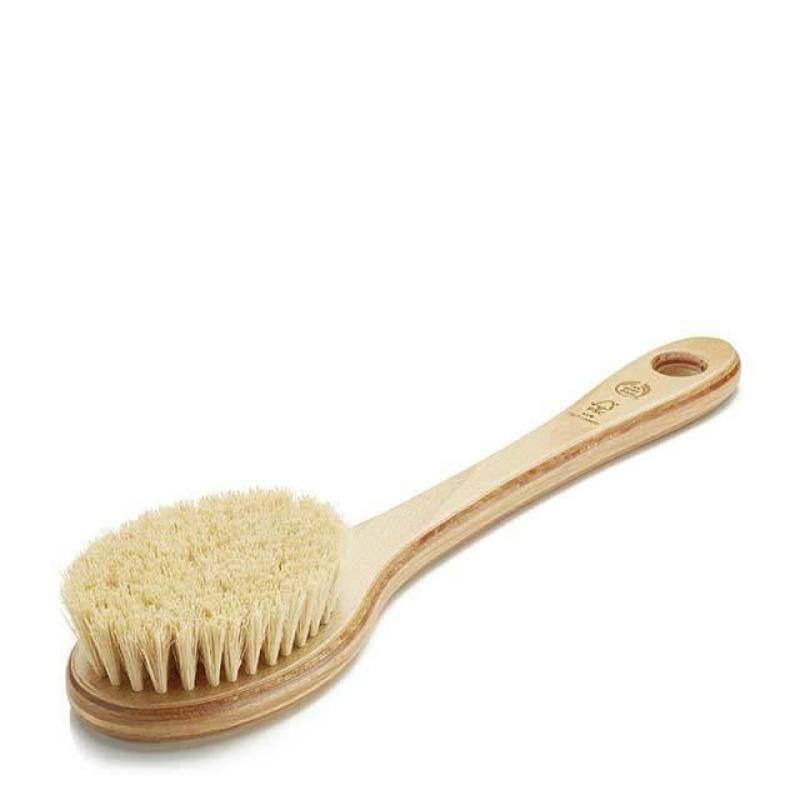 Buy The Body Shop Cactus Brush Singapore