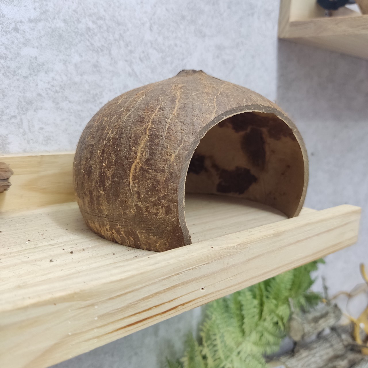 Hang trú ẩn, nhà ngủ gáo dừa cho thú cưng kích thước 8-12cm
