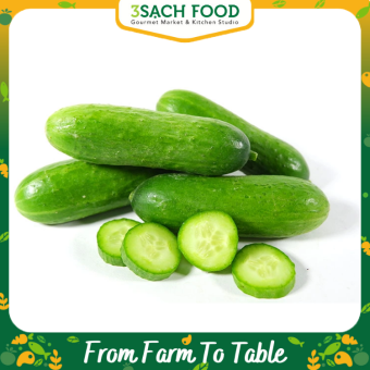 Dưa Leo Baby Thủy Canh (Khay 500Gr)