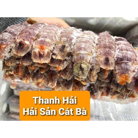 Bề Bề Trứng Bóc Nõn 500G Hải Sản Cát Bà ( Giao Cấp Tốc Nội Thành Hà Nội)