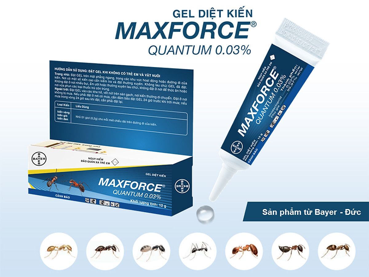 Thuốc diệt kiến Bayer Maxforce Quantum 12 gam dạng gel