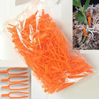 100 ghim kie cho phong lan, ghim cố định trồng cây giống