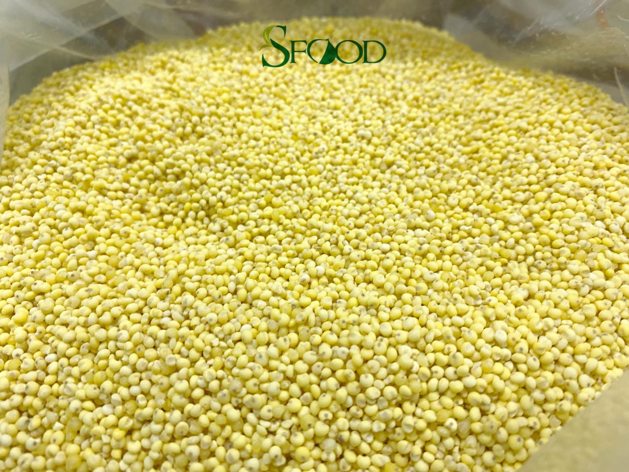 Hạt kê nếp vàng nghệ an sfood, mẩy, tròn, nhỏ, thơm