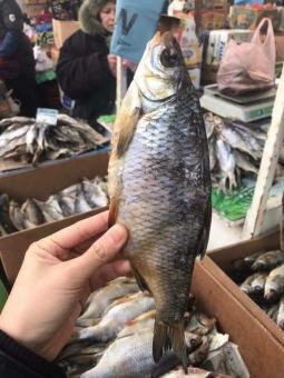 500gr Cá khô Vobla Astrakhan Nga khoảng 3 - 4 con