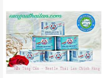 Lốc 12 lon sữa gấu Nestle Thái Lan màu xanh tăng cân