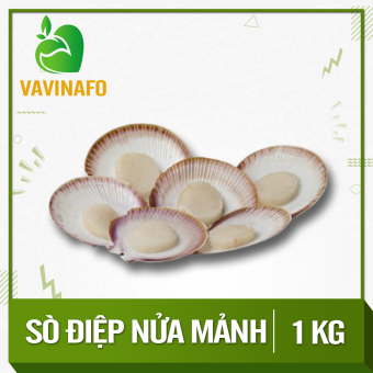 HCM - Sò Điệp nửa mảnh (1 kg) - Thích hợp với các món nướng, hấp, xào,... - [Giao nhanh TPHCM]