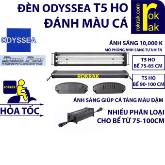 Đèn ODYSSEA T5 HO DUAL PRO 2 Bóng máng (750-85 90-100 cm) Ánh Sáng 10000K thủy sinh cá cảnh