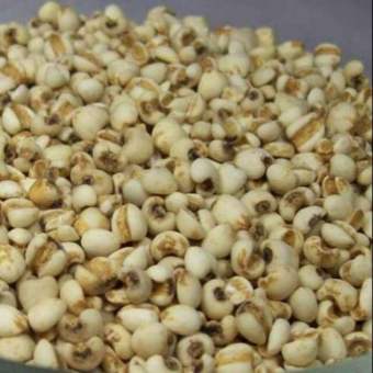 1kg ý dĩ (hạt bo bo)