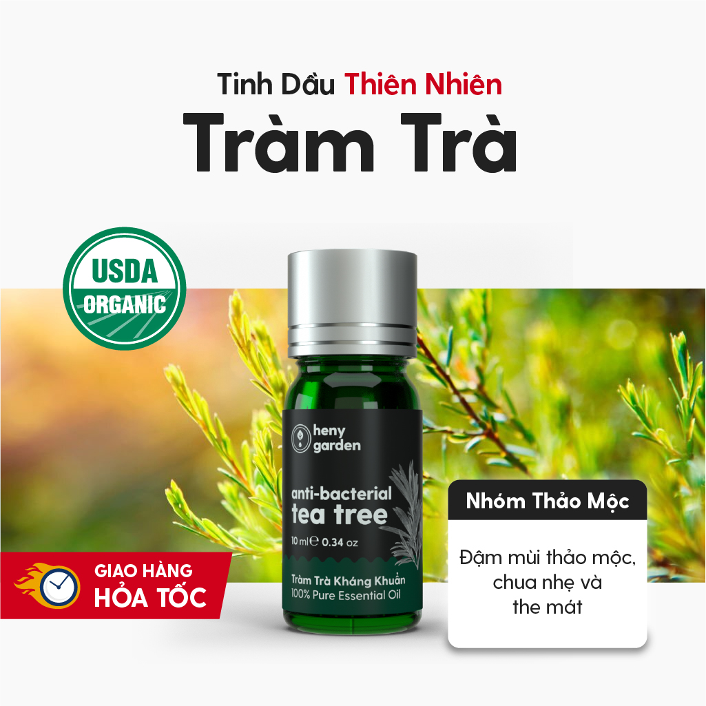 Tinh Dầu Thơm Phòng Tràm Trà (Tea Tree) Làm Nến Thơm Xông Thơm Phòng Kèm Video Hướng Dẫn Làm Nến Thơm - Có Kiểm Định Chất Lượng QUATEST 3 - Nguyên Liệu Làm Nến Thơm Dụng Cụ Làm Nến Sáp Làm Nến Heny Garden