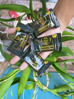 Xà phòng 4K plus của Thái Lan