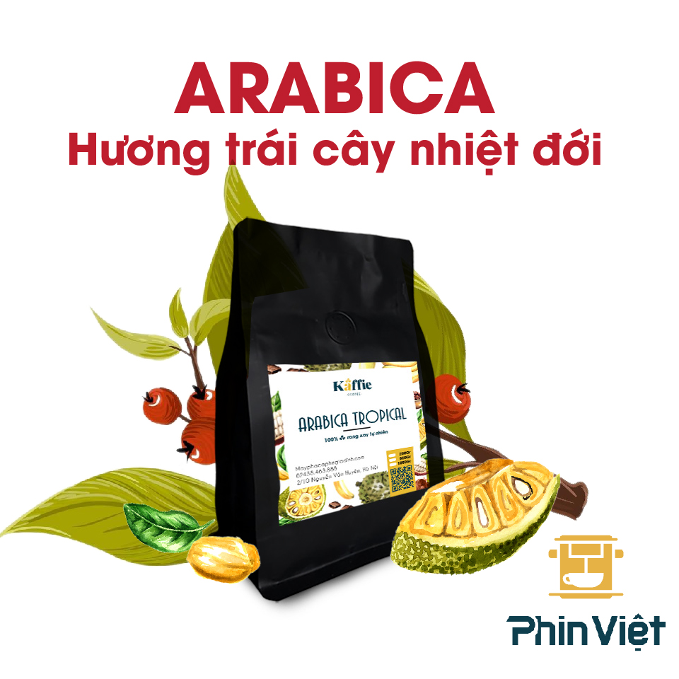 Cà phê hạt Kaffie Arabica Tropical - Cà phê nguyên chất rang mộc
