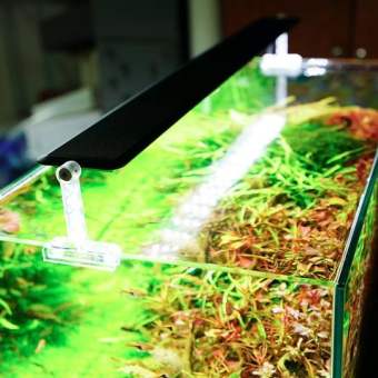 Đèn Led Chihiros AII - Đèn Chihiros A Version 2 Series Cho Hồ Cá Thủy Sinh