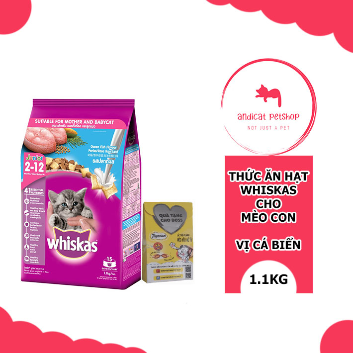 THỨC ĂN HẠT WHISKAS CHO MÈO CON - TÚI 1.1KG - VỊ CÁ BIỂN - TẶNG KÈM 01 HỘP BÁNH THƯỞNG TEMPTATIONS - MUA COMBO ĐỂ ĐƯỢC GIẢM PHÍ SHIP