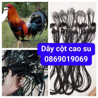 DÂY CỘT CHÂN GÀ CAO SU