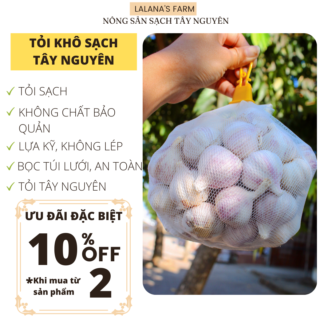 TỎI SẠCH TÂY NGUYÊN, Tỏi khô nguyên củ Loại 1 bọc túi lưới - Tỏi to, đều, hàng chuyên xuất khẩu chất lượng - Lalana's FARM Nông sản sạch Tây Nguyên