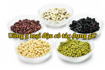 Bột ngũ cốc hạt dinh dưỡng bổ sung dưỡng chất 5 loại đậu
