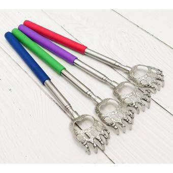 CÂY GÃI LƯNG HÌNH GẤU