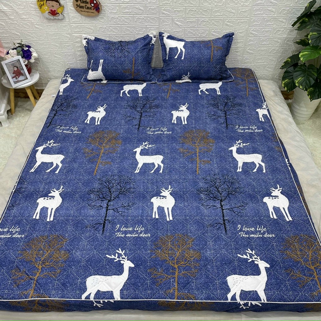 Bộ ga gối cotton poly, ga kèm 2 vỏ gối nằm, set ga gối 3 món, drap giường, ga giường, đủ kích thước m2/m6/m8/2m2