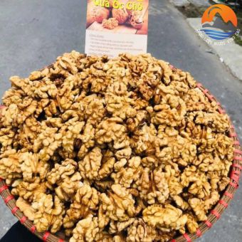 Nhân óc chó nếp vàng, óc chó giấy loại 1, đã tách vỏ. Óc chó sống sấy khô từ óc chó tươi rừng Hà Giang, làm sữa hạt