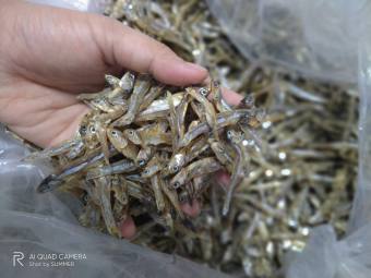 100g Khô Cá Cơm Sạch Cát Tươi ngon từ biển vũng tàu